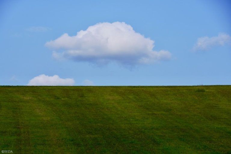 Sábado 7 de septiembre. A Coruña. Mindfulness para el estrés (MBSR)