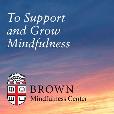 Colaboración de las universidades de Massachusetts y Brown