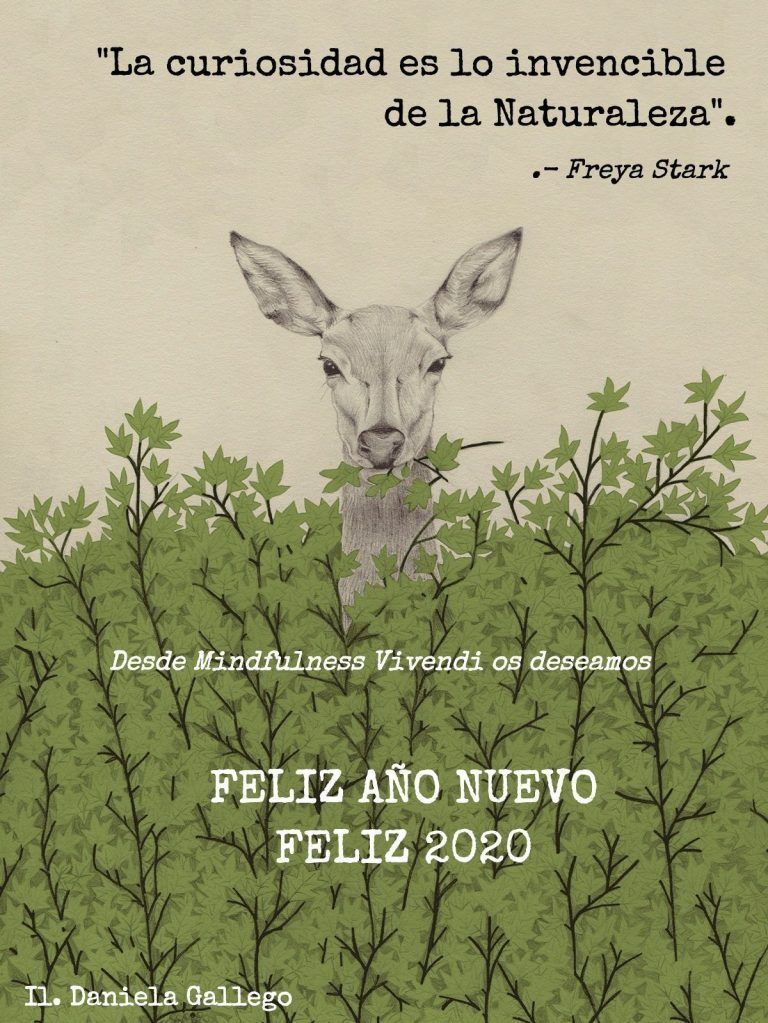 Feliz 2020