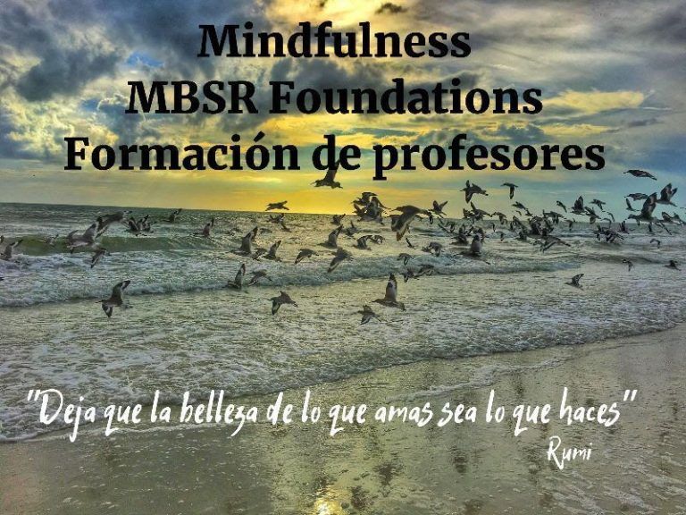 Formación de profesores de mindfulness