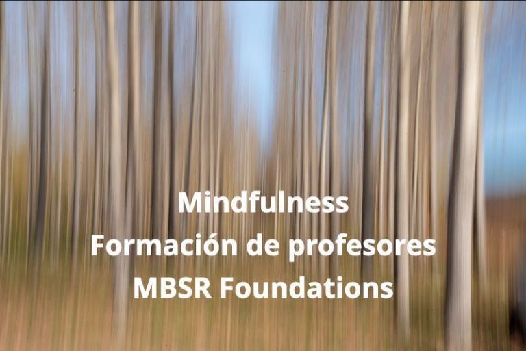 Formación de profesores de mindfulness – MBSR
