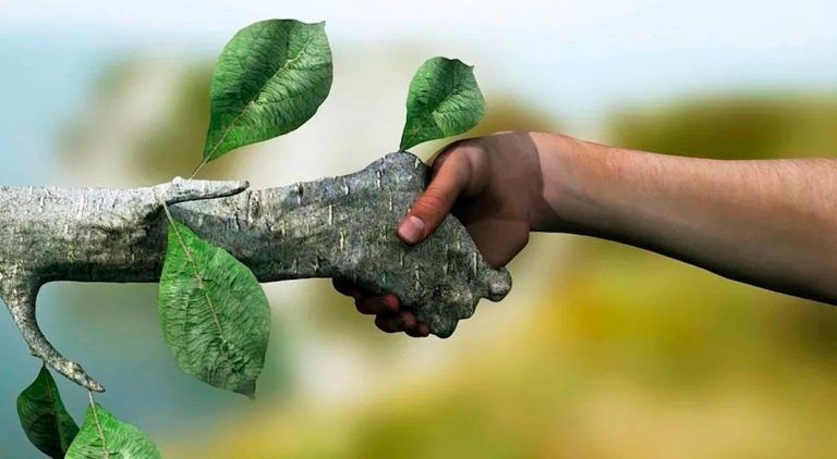 6 de julio: sesión de Mindfulness para un mundo en transición