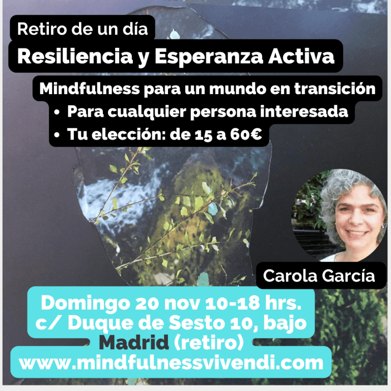 20 noviembre 2022: día de mindfulness para un mundo en transición