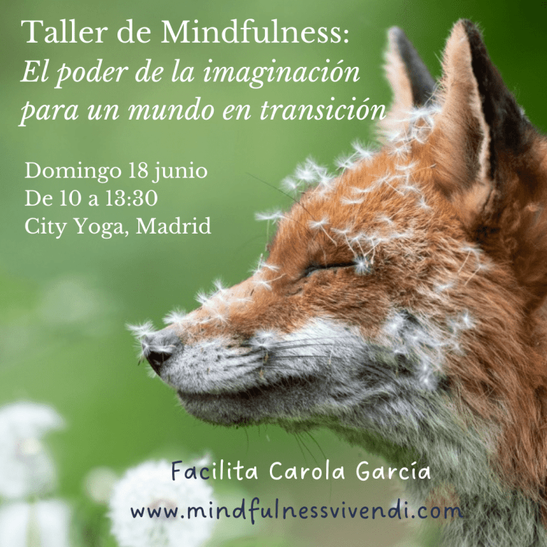 Taller de mindfulness: el poder de la imaginación para un mundo en transición