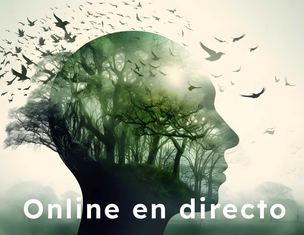 MBSR online