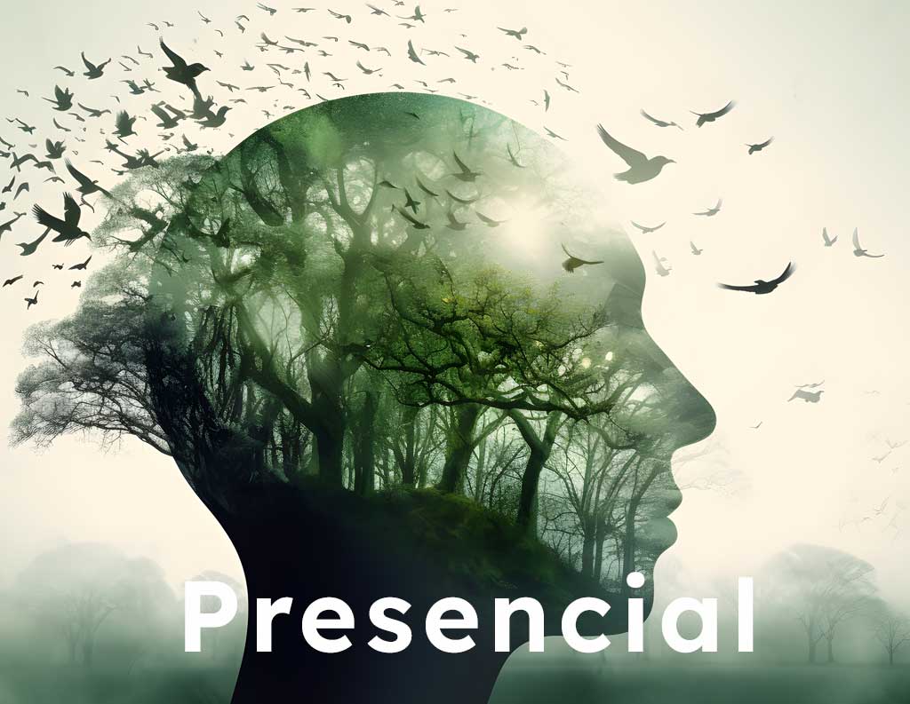 MBSR Presencial